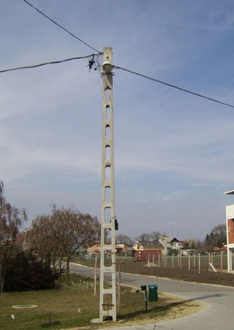 2010_marcius_023.jpg